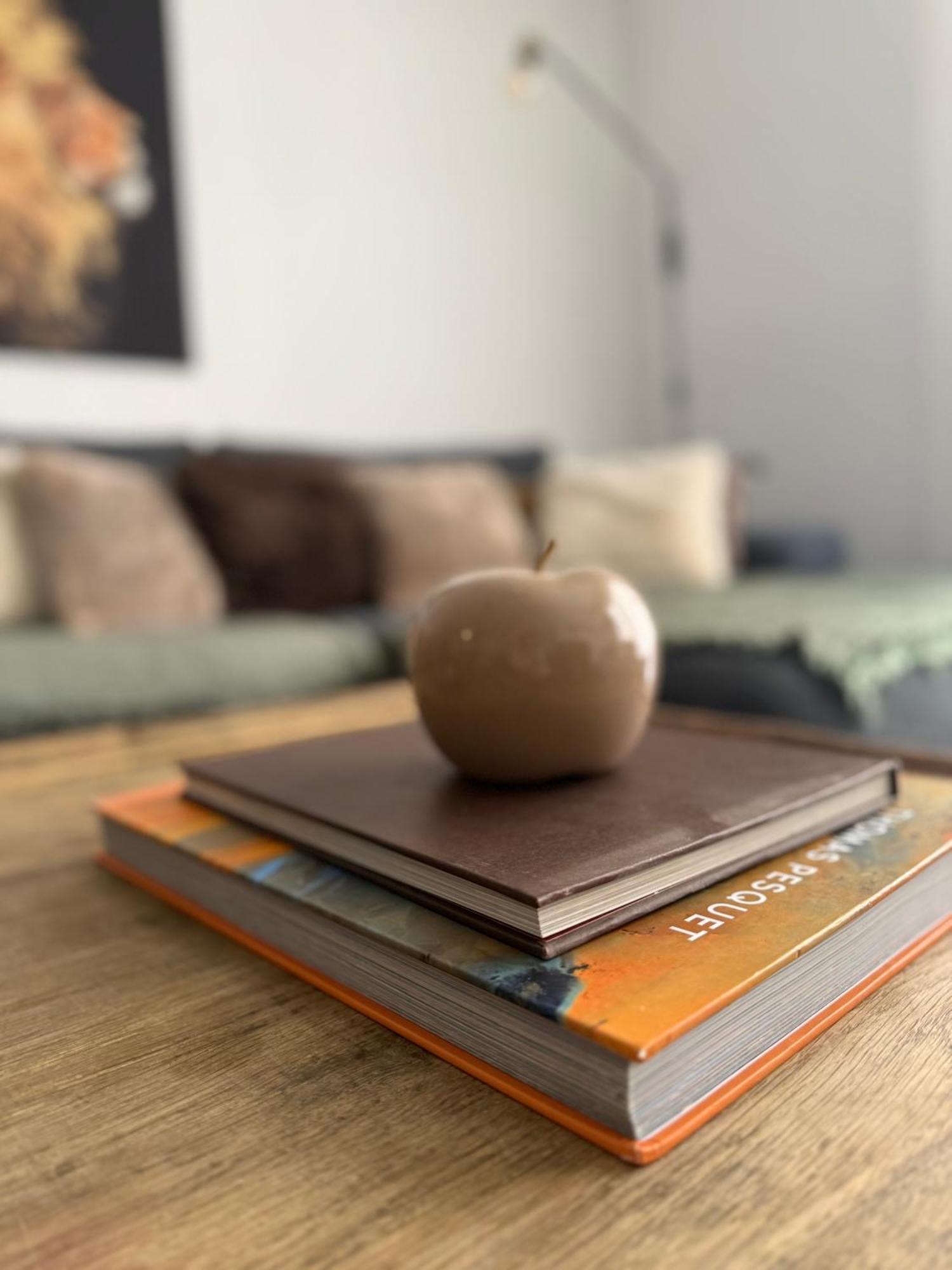 Le J&J Appartement Spacieux Climatise En Centre Ville 塞特港 外观 照片